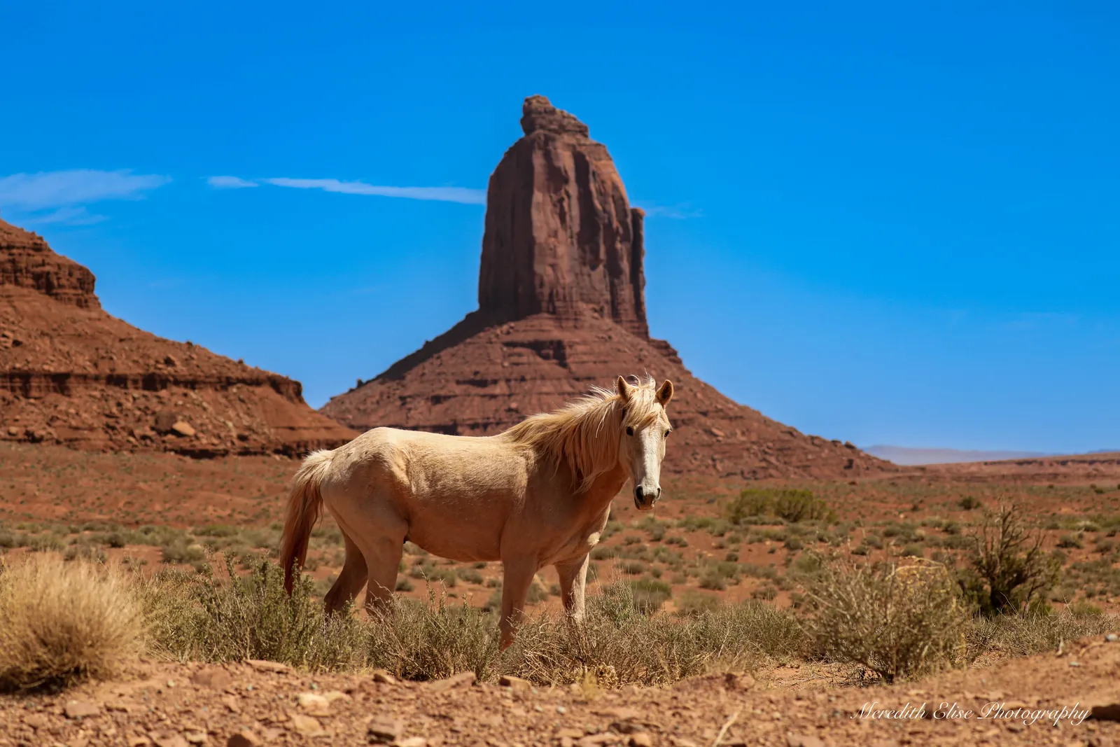 Wild palomino horse standing before a towering sandstone butte in Monument Valley — Arizona fine art print