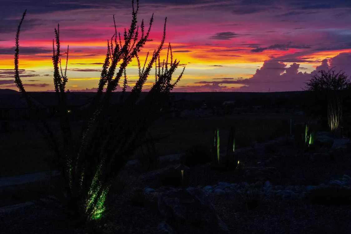 Ocotillo silhouetted against a blazing purple and red desert sunset — Sonoran Desert Arizona fine art print