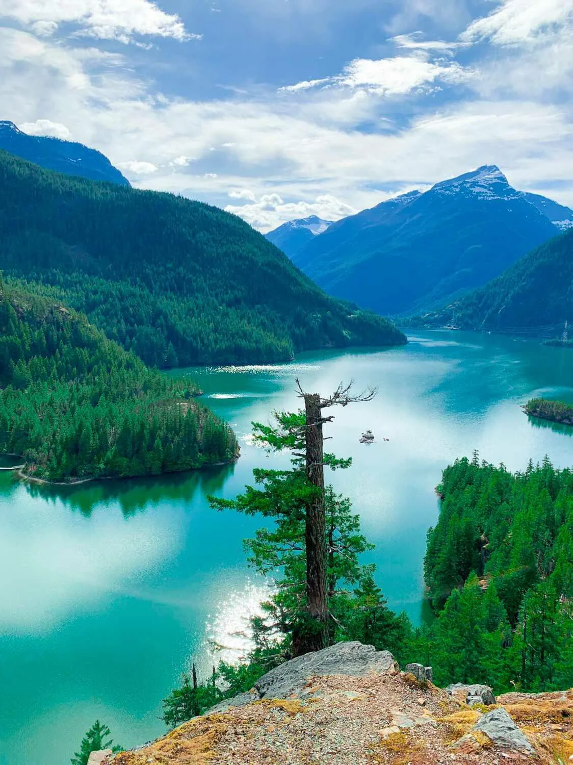 Diablo Lake glowing turquoise between forested ridges in the North Cascades — Washington fine art print