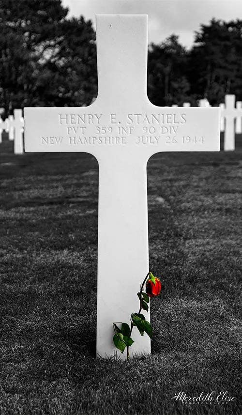 White marble cross with a single red rose at the Normandy American Cemetery — France fine art print