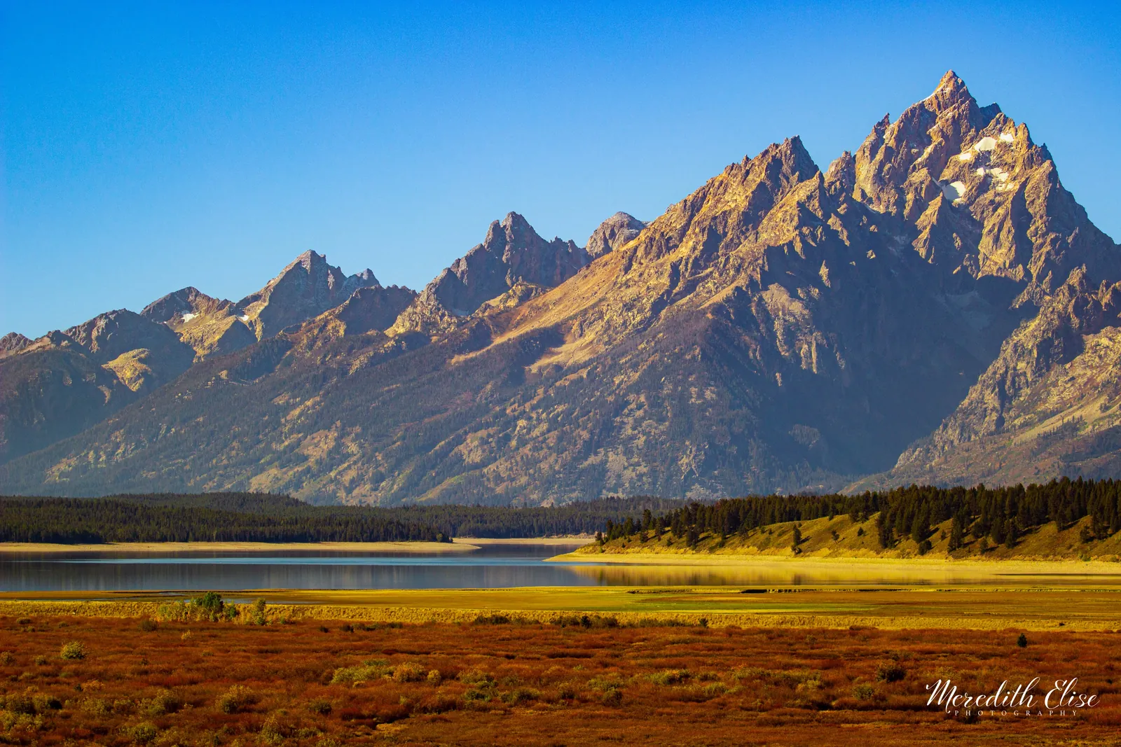 Golden morning light on the Teton Range above Jackson Lake and autumn meadows — Wyoming fine art print
