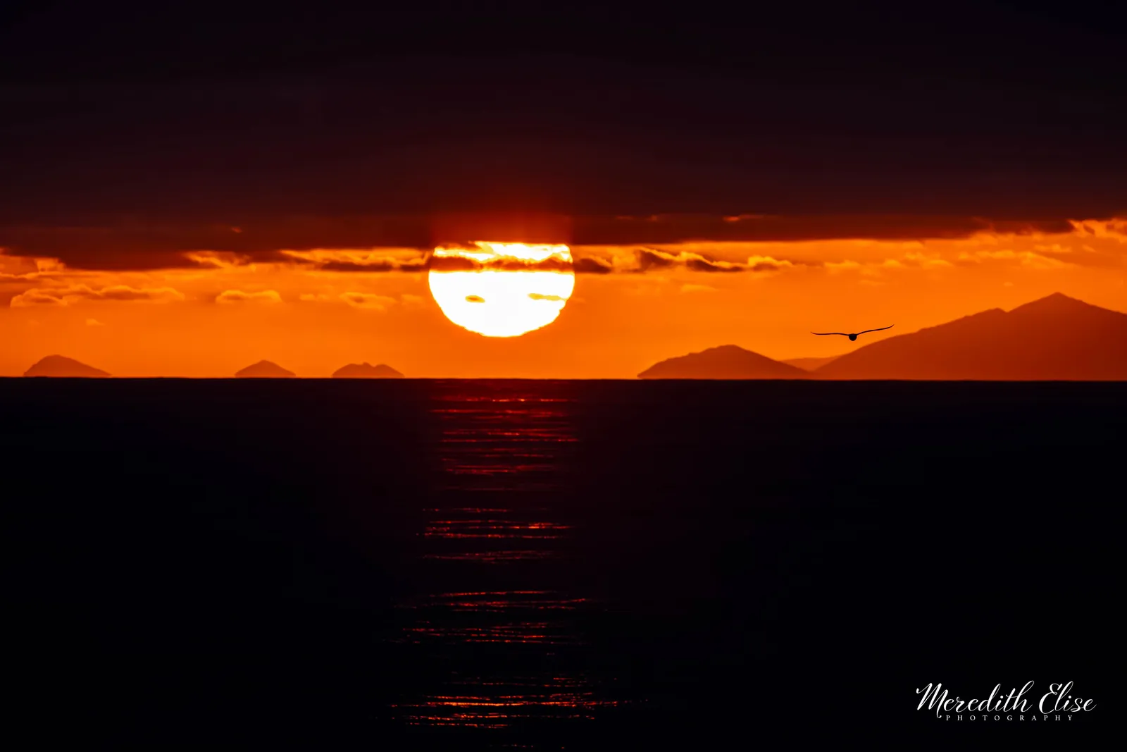 Fiery orange sun setting into the sea as a lone seabird glides past Unimak Island — Aleutian Islands Alaska fine art print