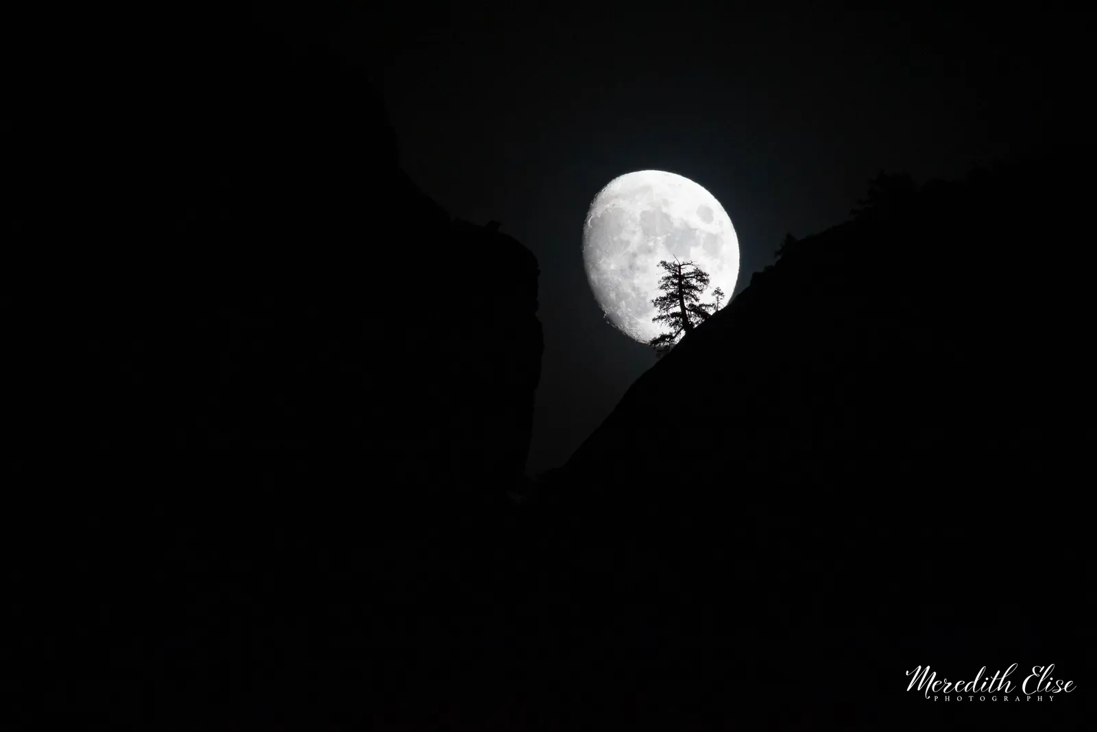 Moon rising between dark valley walls behind a lone silhouetted pine — Yosemite California fine art print